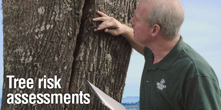 Corrective pruning